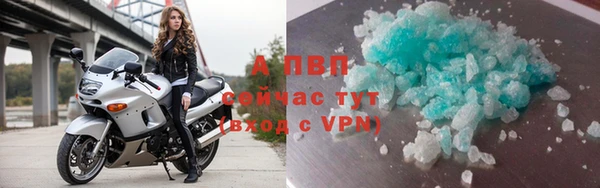 дживик Горняк