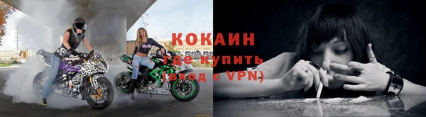 дживик Горняк