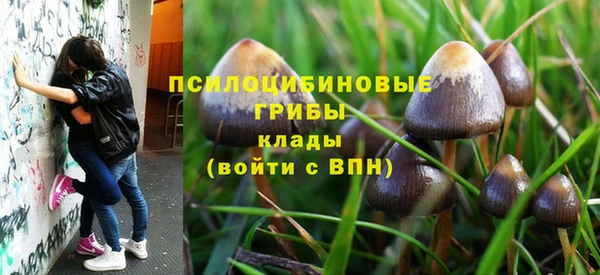 дживик Горняк