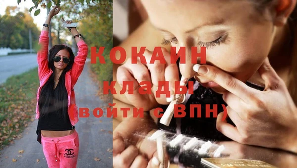 дживик Горняк