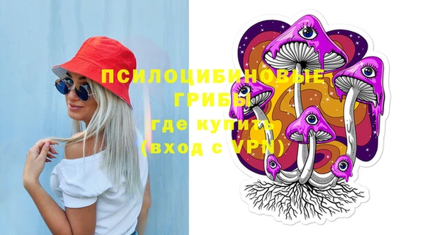 дживик Горняк
