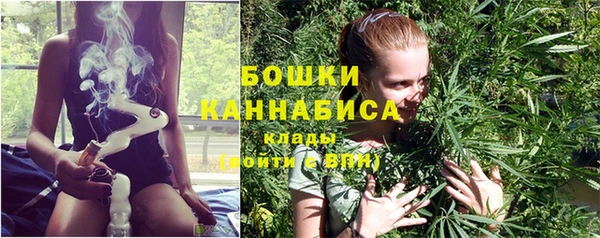 дживик Горняк