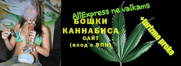 дживик Горняк