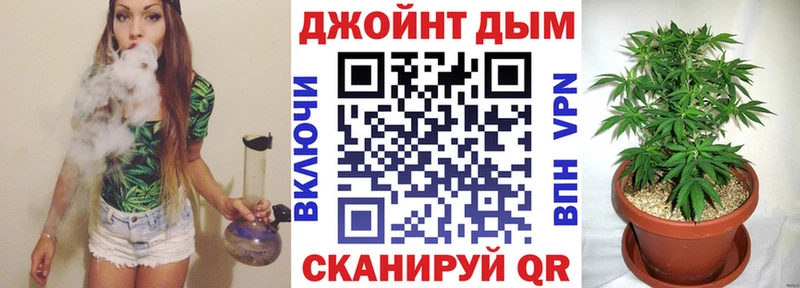 где найти наркотики MEGA tor shop формула Меленки Канабис планчик